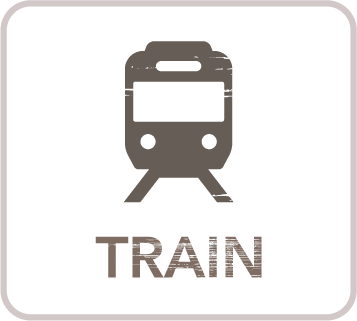 train