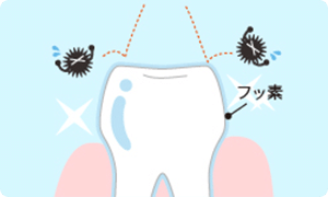 フッ素塗布